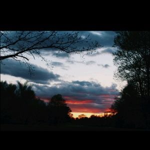 Meet your Posher, Braxton